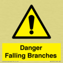 danger-falling-branches~